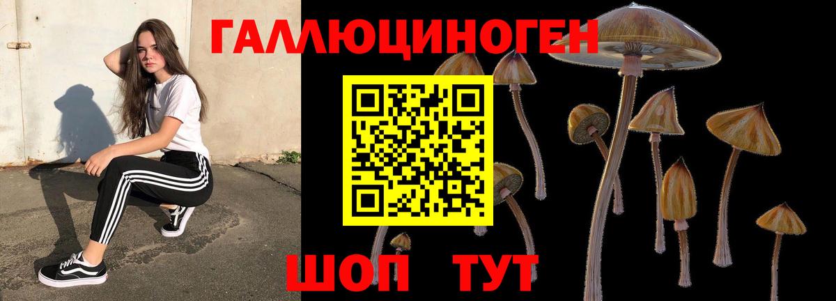 Новочебоксарск  Псилоцибиновые грибы Cubensis  Псилоцибиновые грибы ЛСД  где продают   Вход с VPN 